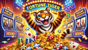 boom rang Live Casino ke Andar Kya Hai